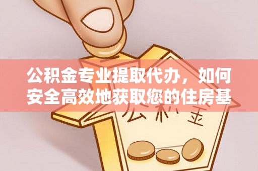 舞钢公积金专业提取代办，如何安全高效地获取您的住房基金