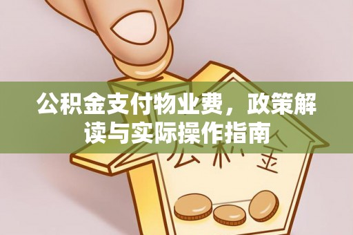舞钢公积金支付物业费，政策解读与实际操作指南