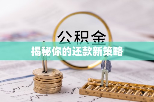 舞钢揭秘你的还款新策略