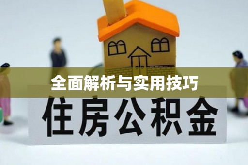 舞钢全面解析与实用技巧