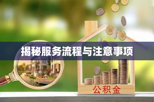舞钢揭秘服务流程与注意事项