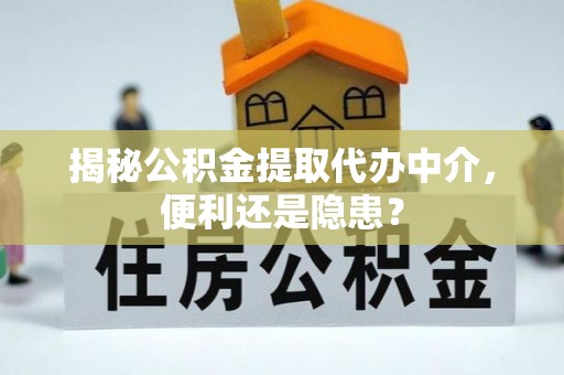 舞钢揭秘公积金提取代办中介，便利还是隐患？