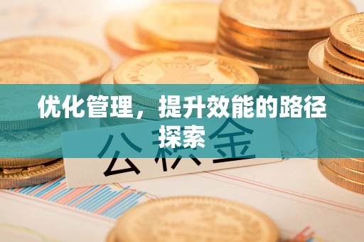 舞钢优化管理，提升效能的路径探索