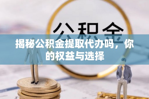 舞钢揭秘公积金提取代办吗，你的权益与选择