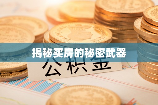 舞钢揭秘买房的秘密武器