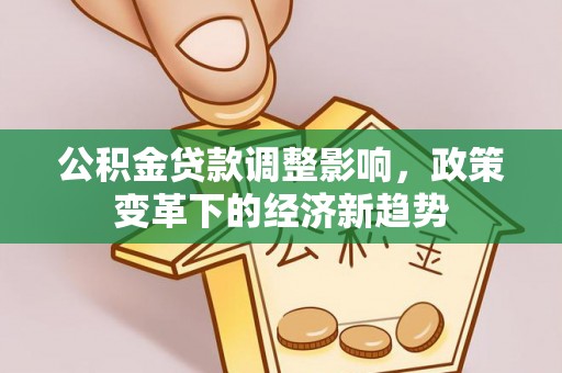 舞钢公积金贷款调整影响，政策变革下的经济新趋势