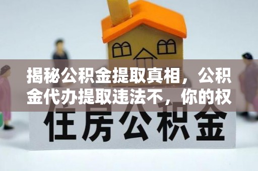 舞钢揭秘公积金提取真相，公积金代办提取违法不，你的权益如何保障？