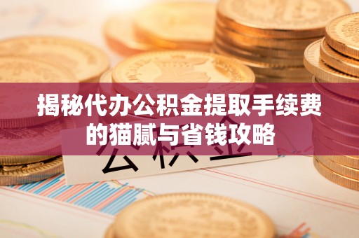 舞钢揭秘代办公积金提取手续费的猫腻与省钱攻略