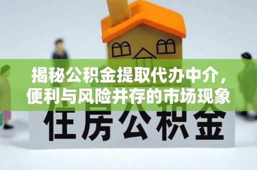 舞钢揭秘公积金提取代办中介，便利与风险并存的市场现象