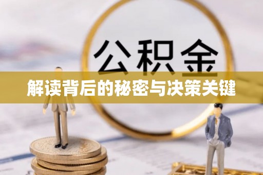 舞钢解读背后的秘密与决策关键