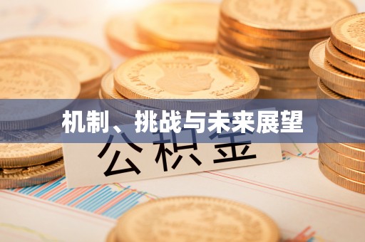 舞钢机制、挑战与未来展望