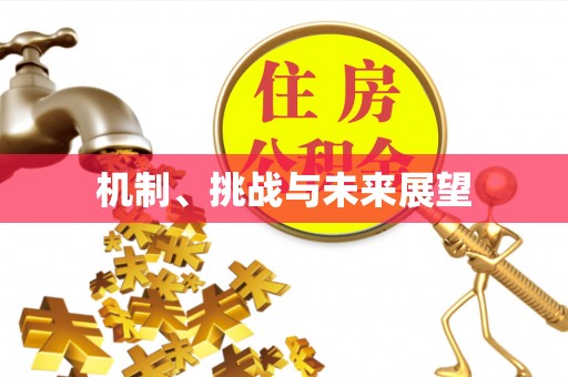 舞钢机制、挑战与未来展望